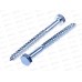 Шуруп сантехнический 10*120 (белый цинк 10шт) DIN571