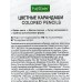 Карандаши 12цв Hatber Зоопарк 084391 *12