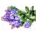 Букет 50см 12гол №215 81217 *20  Б