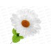 Цветы искусственные 30см №504 81311 *30/300  Б