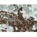 Комплект постельного белья 2,0 спальный полисатин с европростыней 1054-2