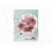 Записн.книжка Hatber А6 32л Живые моменты, 10диз. 091594 *144