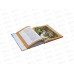 Книга 08990-2 Умка: Руслан и Людмила. Пушкин А.С. 96стр.  *12