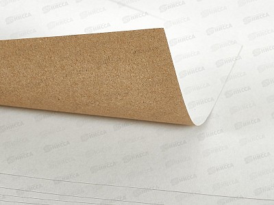 Картон Белый А4 Апплика 10л, Домик С7582-07 *60