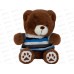 Мишка в кофте 20см FG250327119C цвет в ассорт.