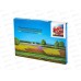 Картина по номерам 20*30 Гранаты  АL13002*30