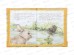 Книга 10880-1 Умка: Сказки и рассказы о животных. Бианки В., 96стр.*12