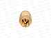 Клапан обратный, с латунным сердечником, 1&quot, Aqualink