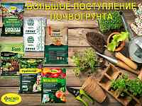 Почвогрунт. Большое поступление!