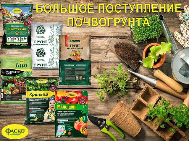 Почвогрунт. Большое поступление!