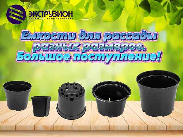 Емкости для рассады. Большое поступление!
