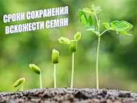 Сроки сохранения всхожести семян