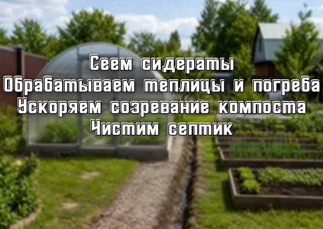 Закрываем дачный сезон! Готовим огород, погреб и септики к зиме!