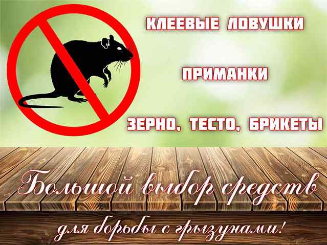 Большой выбор средств для борьбы с грызунами!