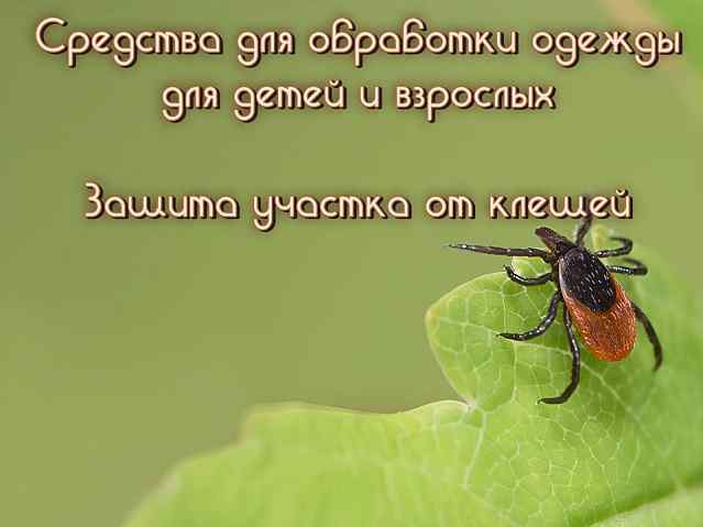 Защита от клещей! Вторая волна!
