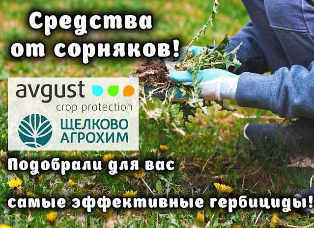 Большой выбор средств от сорняков!