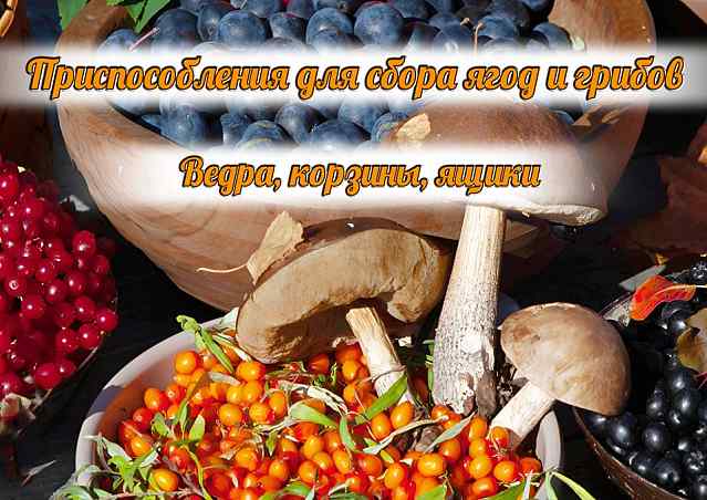 По грибы, по ягоды!