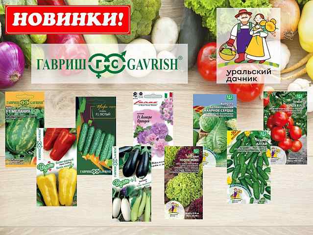 Семена от производителей Гавриш и Уральский дачник. Поступление новинок!