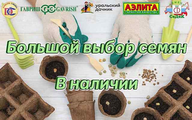 Семена! Огромный выбор от разных производителей!