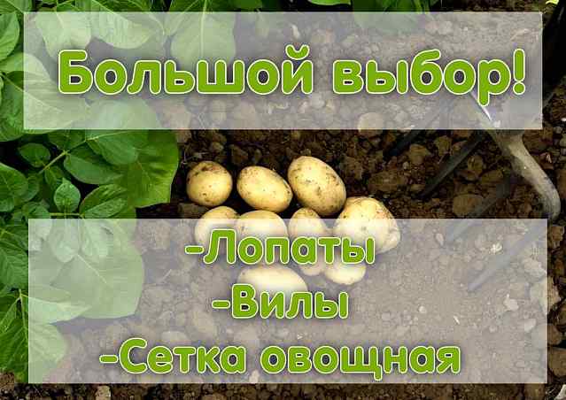 Готовимся к копке картофеля и уборке урожая!