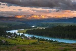  Алтайский край