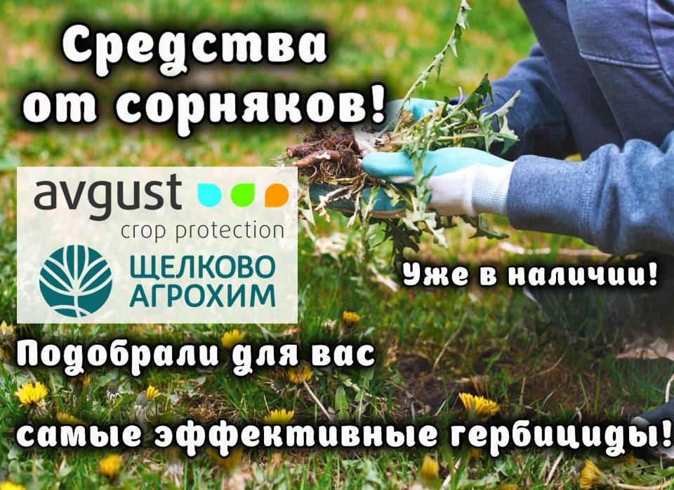 Большой выбор средств от сорняков!