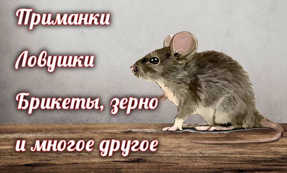 Средства от грызунов! Большой выбор!