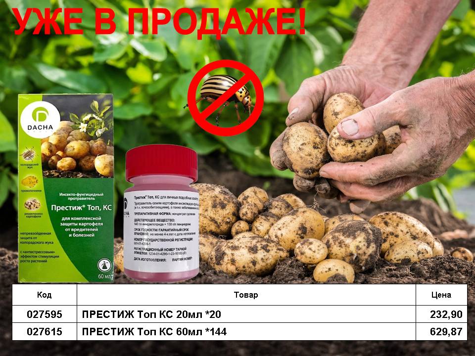 Престиж. Уже в продаже!