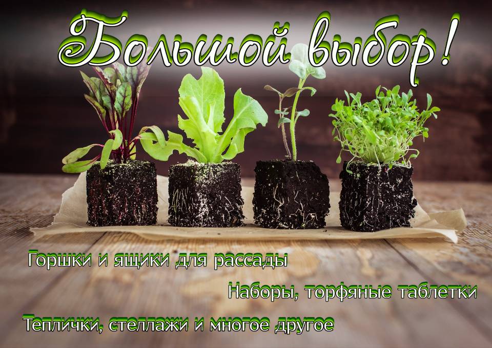 Выращиваем рассаду вместе! Все для вашей рассады у нас в наличии!