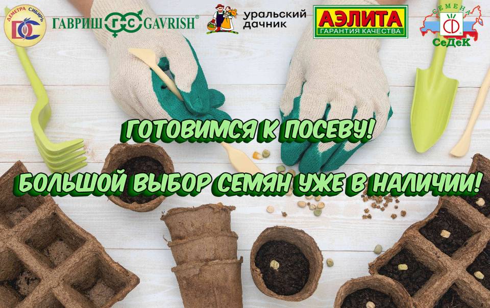 Семена! Огромный выбор от разных производителей!