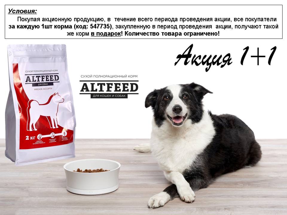 ALTFEED сухой полнорационный корм для кошек и собак. Акция 1+1