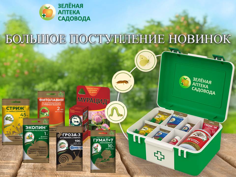 Зеленая Аптека Садовода. Большое поступление новинок!