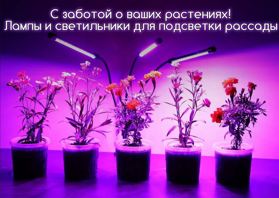 Лампы и светильники для подсветки растений! Уже в наличии!