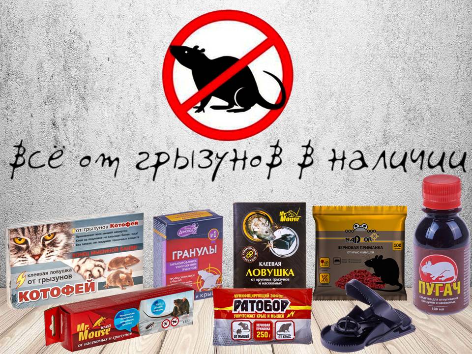 Средства от грызунов в наличии.